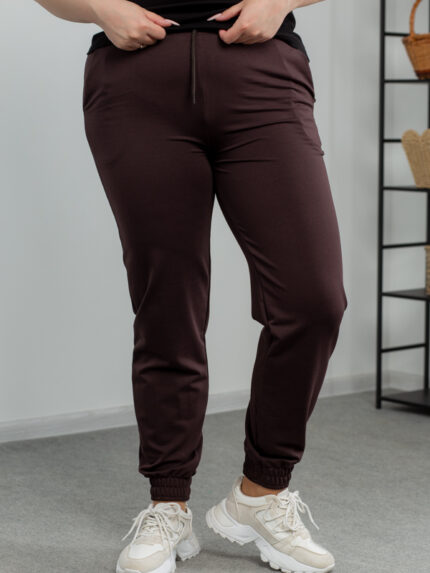 Штани 25.493 б Трикотаж двухнитка, колір Темний шоколад, 48(XL), 50(ХХL), 52(3XL)