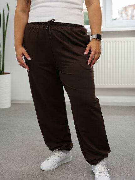 Штани 25.2730 б Трикотаж двонитка, колір Темний шоколад, 48(XL), 50(ХХL), 52(3XL)