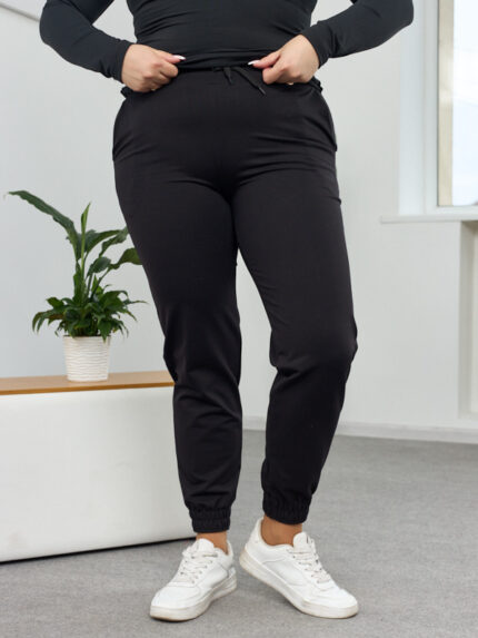 Штани 25.493 н. Трикотаж двухнитка, колір Чорний, 44(М), 46(L), 48(XL), 50(ХХL)